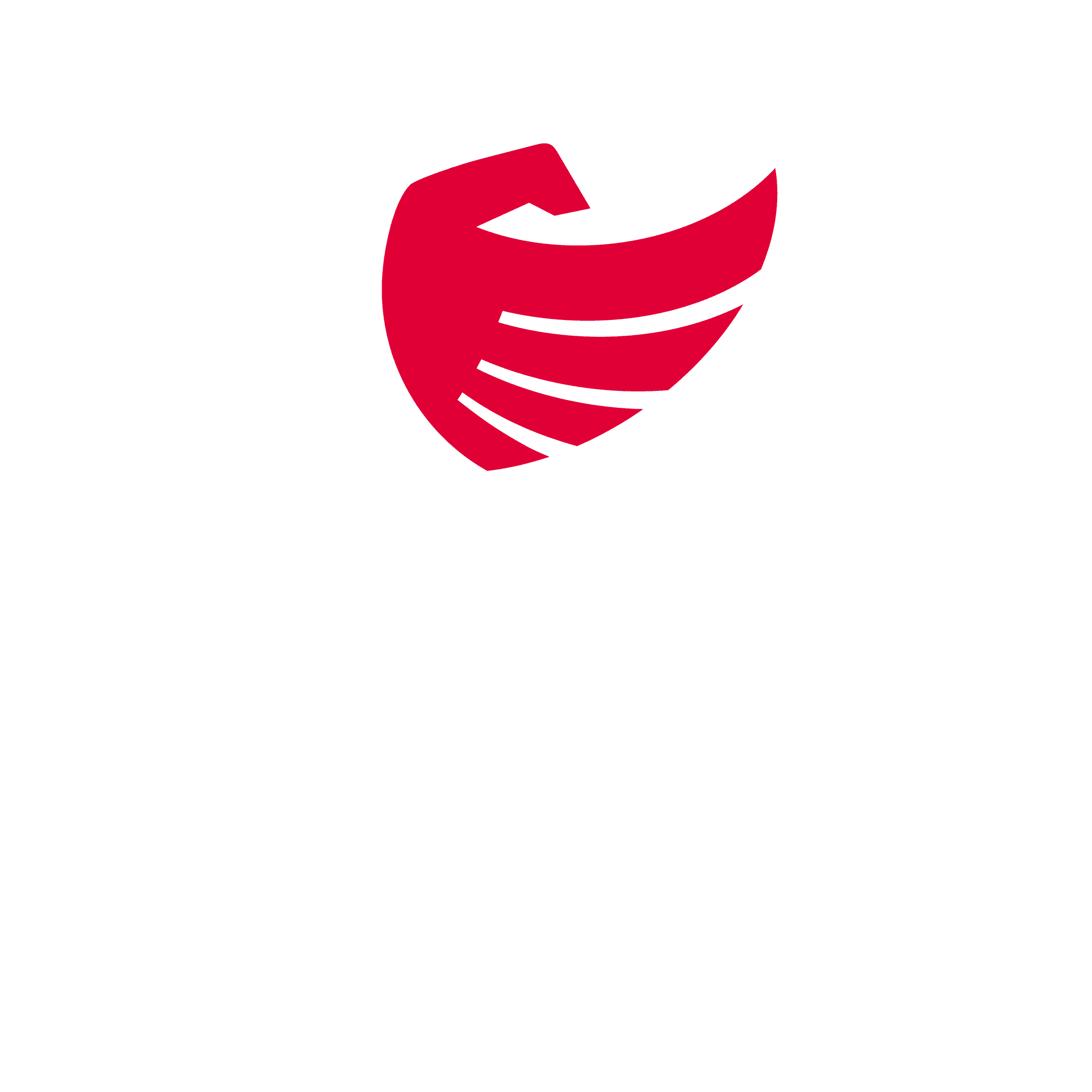 FSHSE — Federata Shqiptare e Sporteve Elektronike